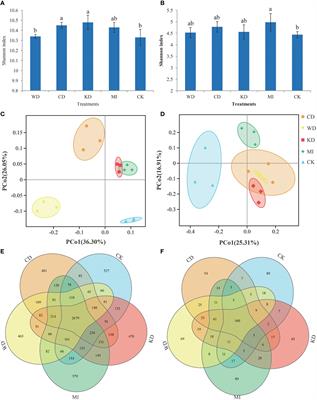 Daylily intercropping: Effects on soil nutrients, enzyme activities, and microbial community structure